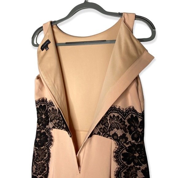The Limited Blush w/ Black Lace Sleeveless Mid length Dress Women's Size 4 - Picture 8 of 9